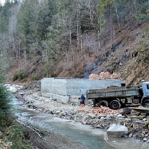 Врятувати Черемош Врятувати Черемош