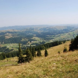 Там, де танцюють духи Там, де танцюють духи